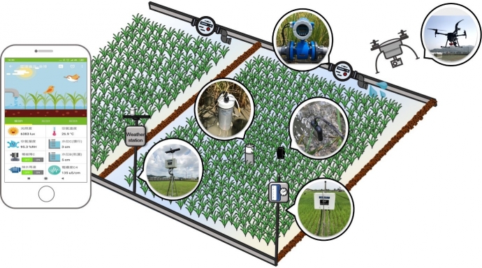 科技輔助田間管理決策『灌水』和『沃肥』－許稻農一個智慧未來