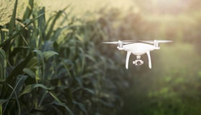 人工智慧於農業領域的實務應用有望解決糧食安全問題、彌合數位鴻溝