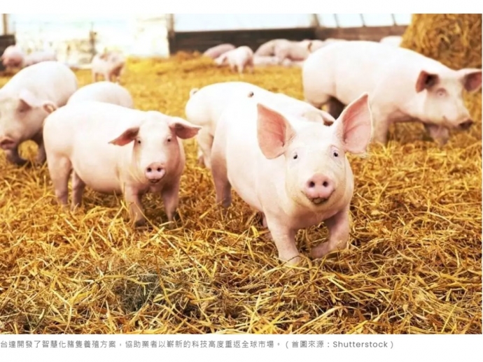 豬隻養殖走向智慧化，台達用 4 大科技力幫台灣贏回全球市場
