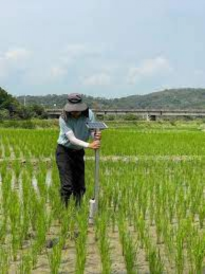 興大農藝系團隊研發水稻智能化田間水分管理 大力節省水資源