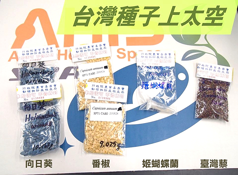 臺灣種子首度上太空！興大在列，姬蝴蝶蘭、台灣藜、番椒、向日葵十月搭太空船出發